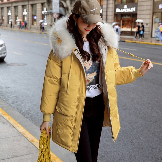 New Arrival Parkas Fashion Coats Women Winter Sweater Fur Collar Hood Warm Cotton Coat Women Clothes - Lifestyles Intra Asia