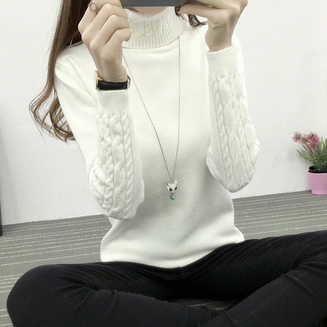 Women Turtleneck Sweaters Winter Pullover Warm Knitted Cashmere Long Sleeve Sweater Women Clothes - Lifestyles Intra Asia